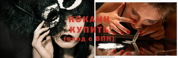 соль ск Няндома