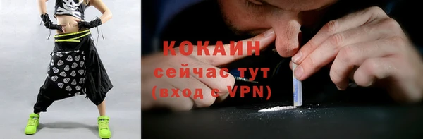 соль ск Няндома