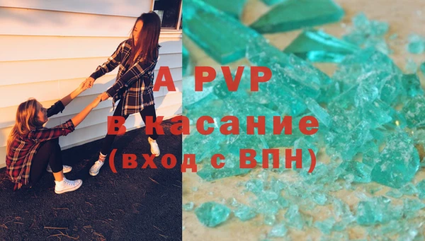 соль ск Няндома