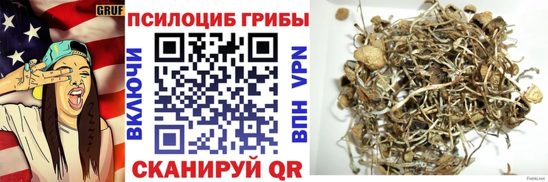 Галлюциногенные грибы мухоморы Бавлы